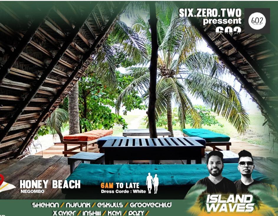 Honey Beach Hostel Негомбо Экстерьер фото